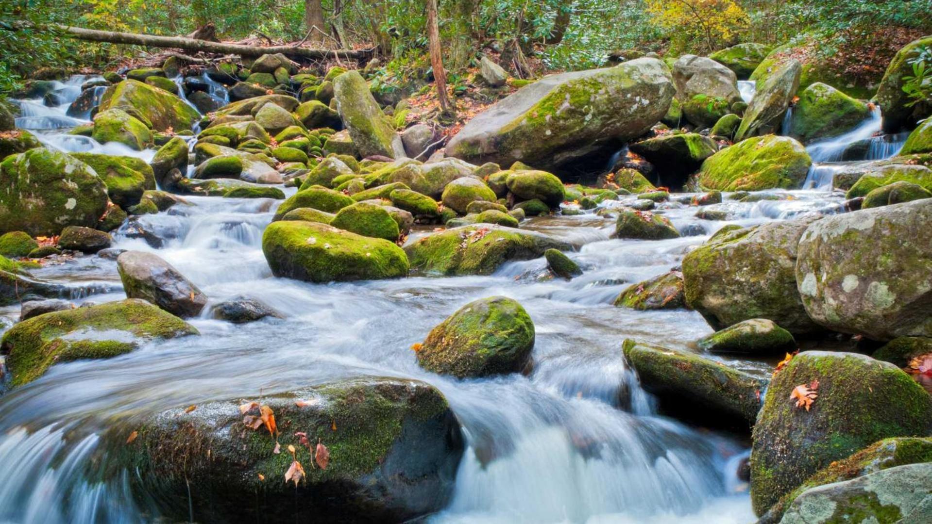 Little Smoky Retreat , 3 Bedroom , Close To Downtown Gatlinburg And Pigeon Forge Экстерьер фото